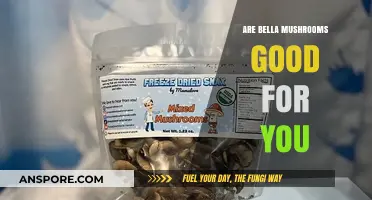 Bella Mushrooms: Nutritional Benefits and Health Impacts Explained