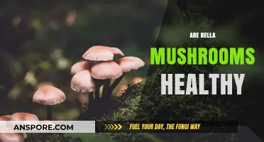 Bella Mushrooms: Healthy Superfood or Not?