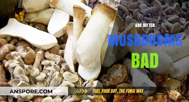 Are Bitter Mushrooms Bad? Unraveling the Truth About Their Safety