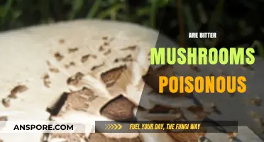 Are Bitter Mushrooms Poisonous? Unraveling the Truth About Toxic Fungi