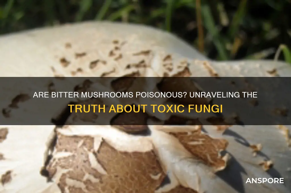are bitter mushrooms poisonous
