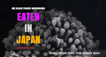 Exploring Japan's Culinary Delights: Are Black Fungus Mushrooms Consumed?