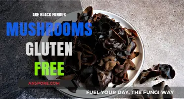 Are Black Fungus Mushrooms Gluten-Free? A Comprehensive Guide