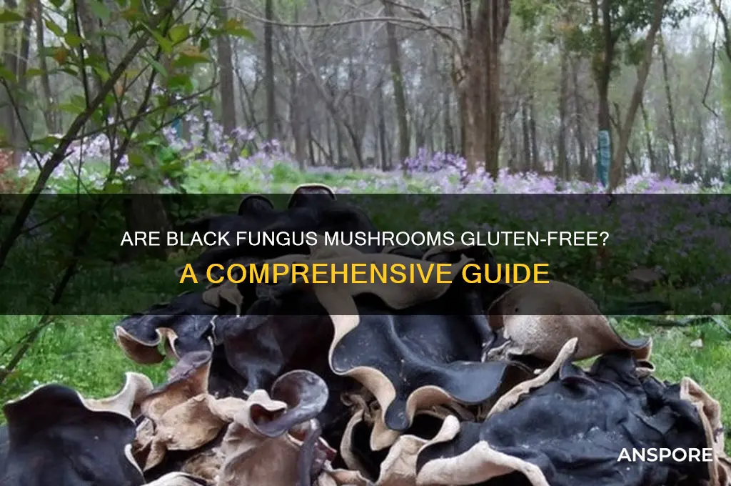 are black fungus mushrooms gluten free