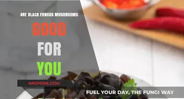 Black Fungus Mushrooms: Unveiling Their Health Benefits and Nutritional Value