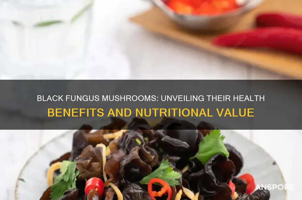 are black fungus mushrooms good for you