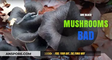 Are Black Mushrooms Safe to Eat? Debunking Myths and Facts