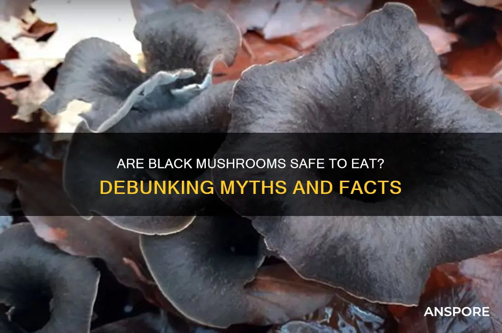 are black mushrooms bad