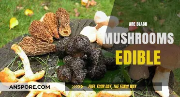 Are Black Mushrooms Edible? A Guide to Safe Foraging and Consumption