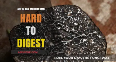 Black Mushrooms Digestion: Are They Harder to Process Than Others?