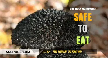 Are Black Mushrooms Safe? A Guide to Edibility and Risks
