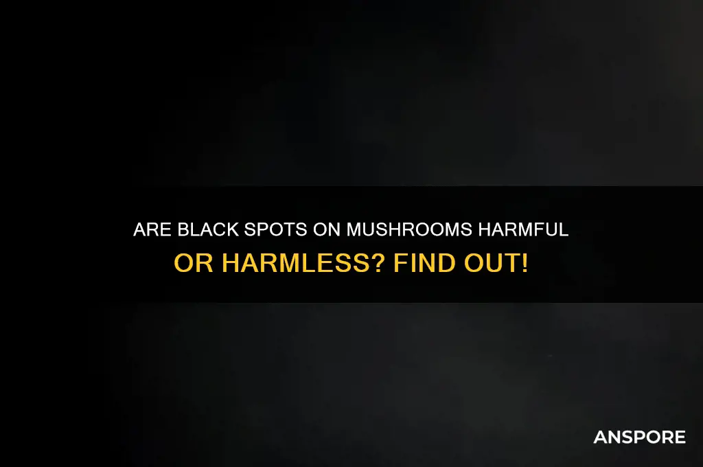 are black spots on mushrooms bad