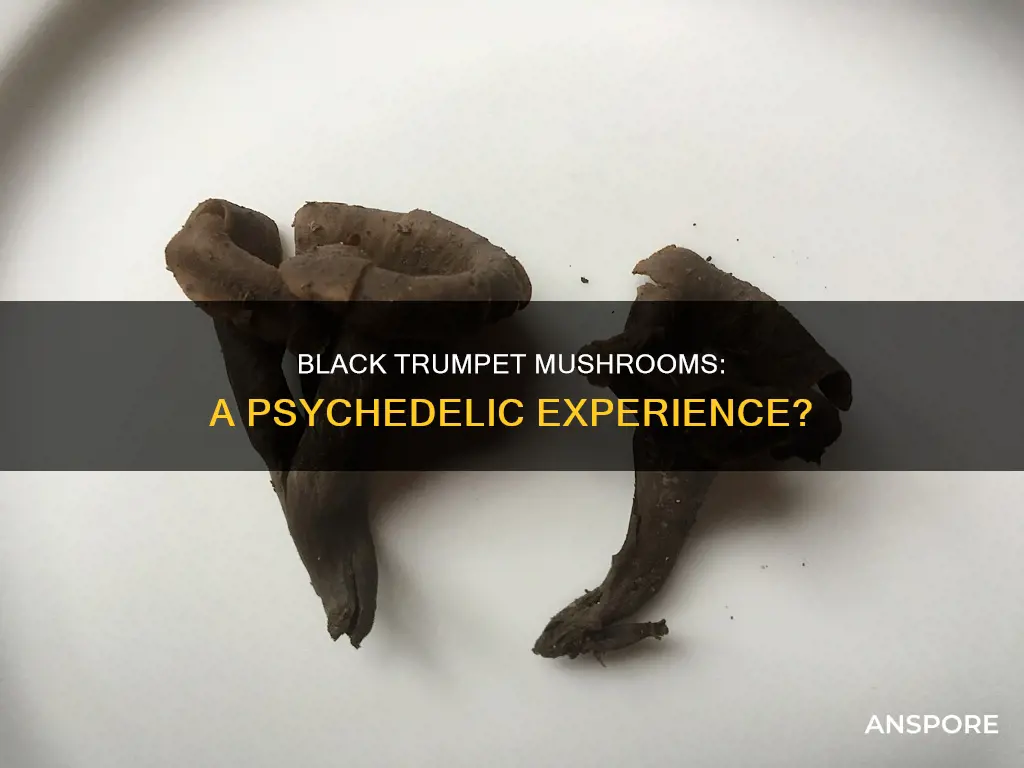are black trumpet mushrooms psychedelic