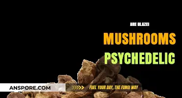 Blazei Mushrooms: Psychedelic or Not?
