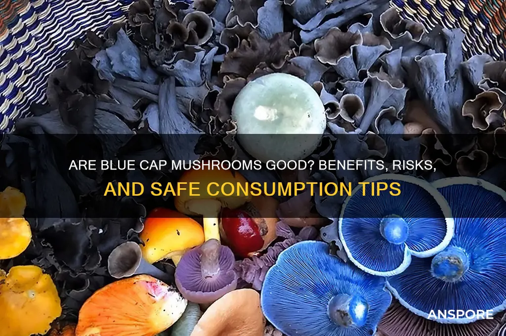 are blue cap mushrooms good