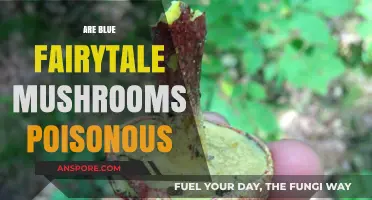 Are Blue Fairytale Mushrooms Poisonous? Unveiling the Myth and Facts