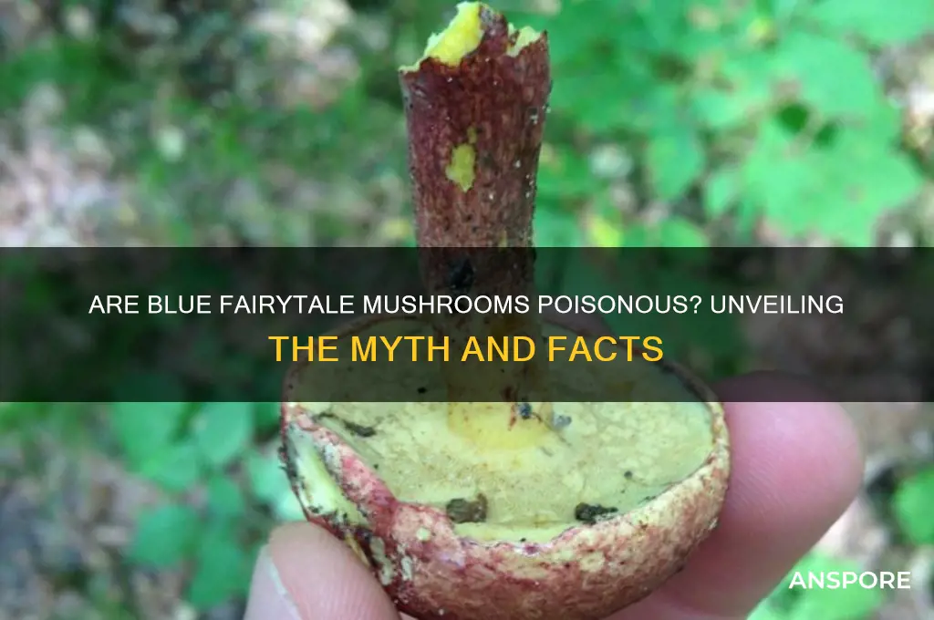 are blue fairytale mushrooms poisonous