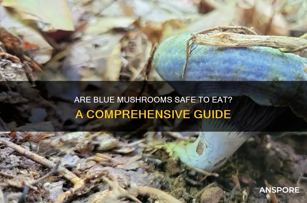 are blue mushrooms safe to eat