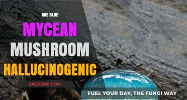 Exploring the Hallucinogenic Nature of Blue Mushrooms