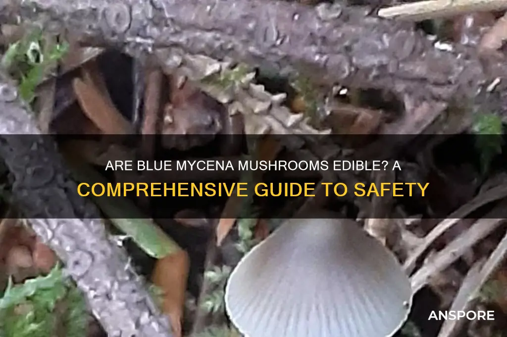 are blue mycena mushroom edible