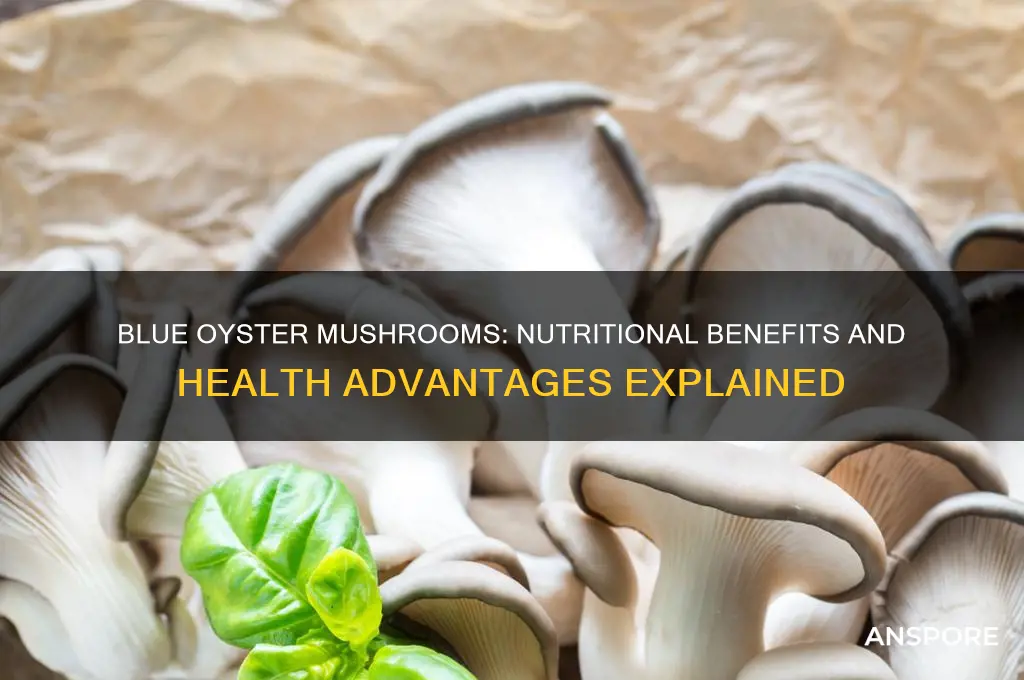 are blue oyster mushrooms good for you
