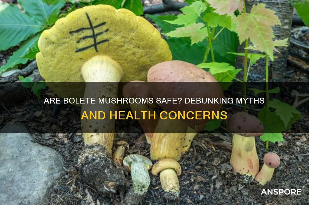 are bolete mushrooms bad for you