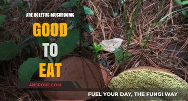 Are Boletus Mushrooms Edible? A Guide to Safe Consumption