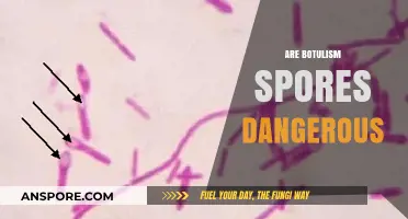 Are Botulism Spores Dangerous? Understanding Risks and Prevention Tips