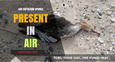 Botulism Spores in the Air: Uncovering the Hidden Presence