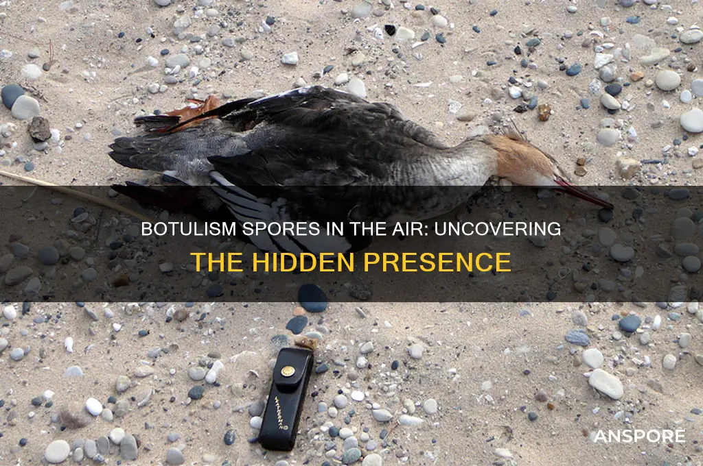 are botulism spores present in air