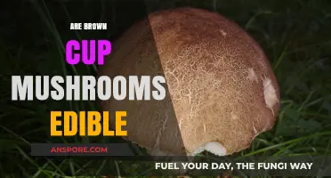 Are Brown Cup Mushrooms Edible? A Comprehensive Guide to Identification and Safety