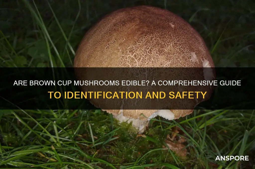 are brown cup mushrooms edible