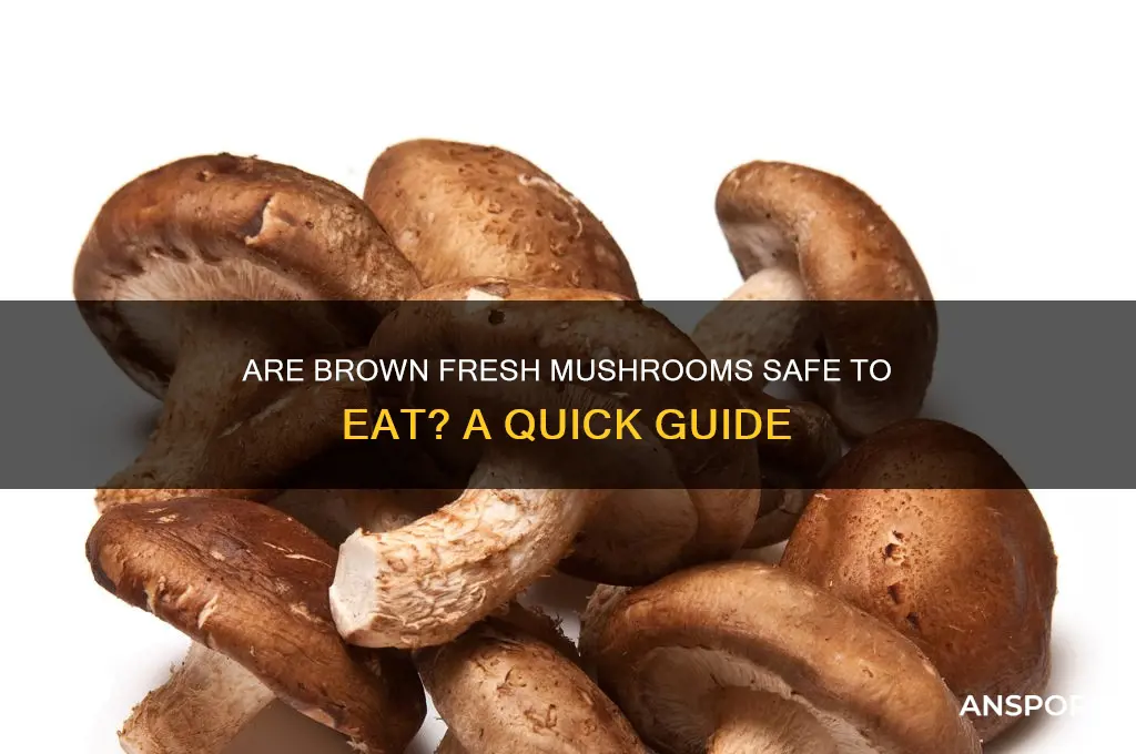 are brown fresh mushrooms ok to eat