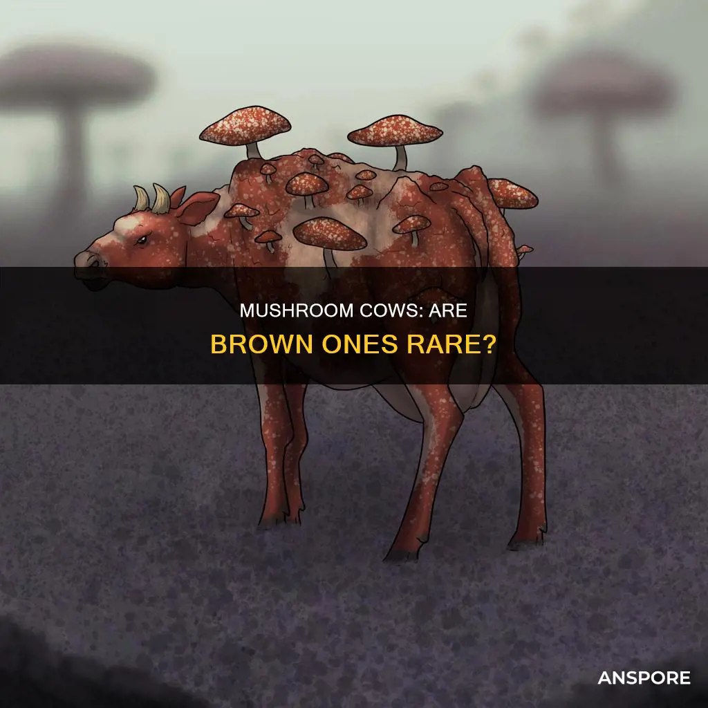 are brown mushroom cows rare