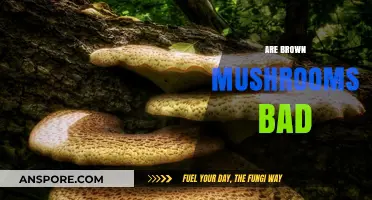 Are Brown Mushrooms Bad? Uncovering the Truth About Their Safety