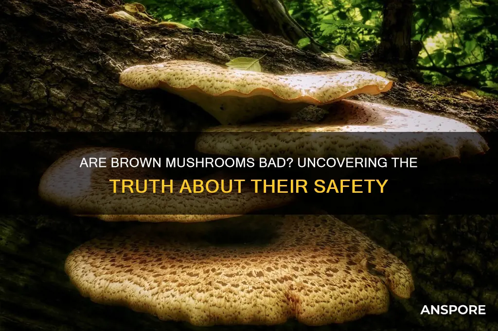 are brown mushrooms bad