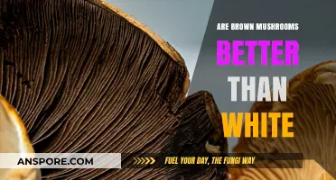 Brown vs. White Mushrooms: Which Variety Offers Superior Flavor and Nutrition?