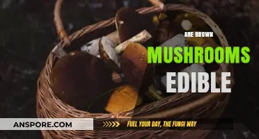 Are Brown Mushrooms Edible? A Guide to Safe Foraging and Consumption