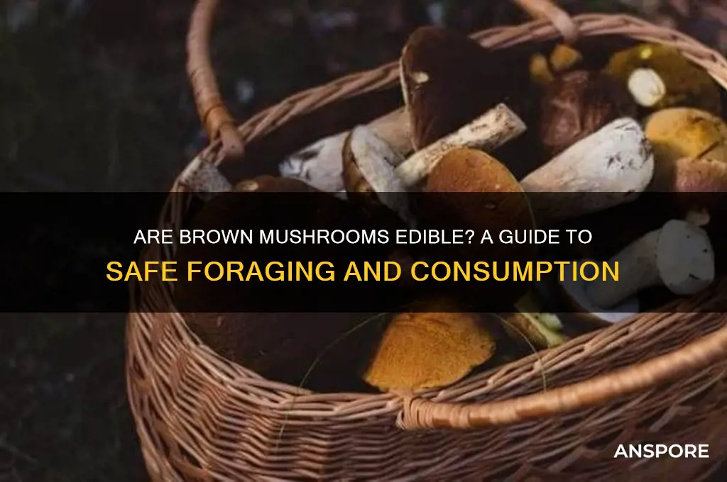 are brown mushrooms edible