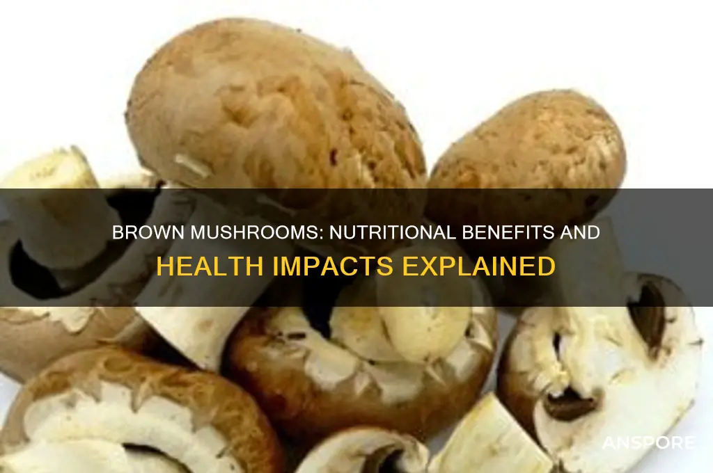 are brown mushrooms good for you