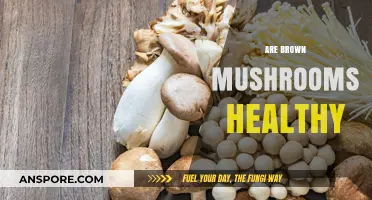Mushroom Nutrition: Are Brown Mushrooms Healthy?