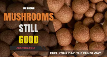 Are Brown Mushrooms Still Good? A Guide to Freshness and Safety