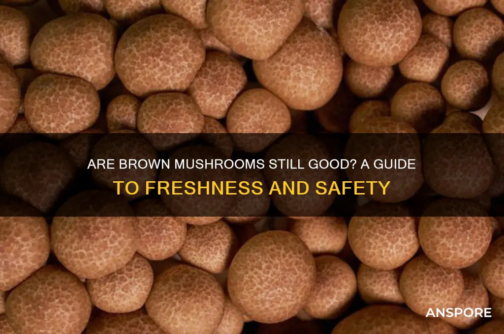 are brown mushrooms still good
