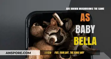 Brown Mushrooms vs. Baby Bellas: Unraveling the Fungal Confusion