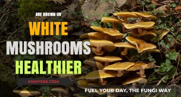 Brown vs. White Mushrooms: Which Offers More Nutritional Benefits?