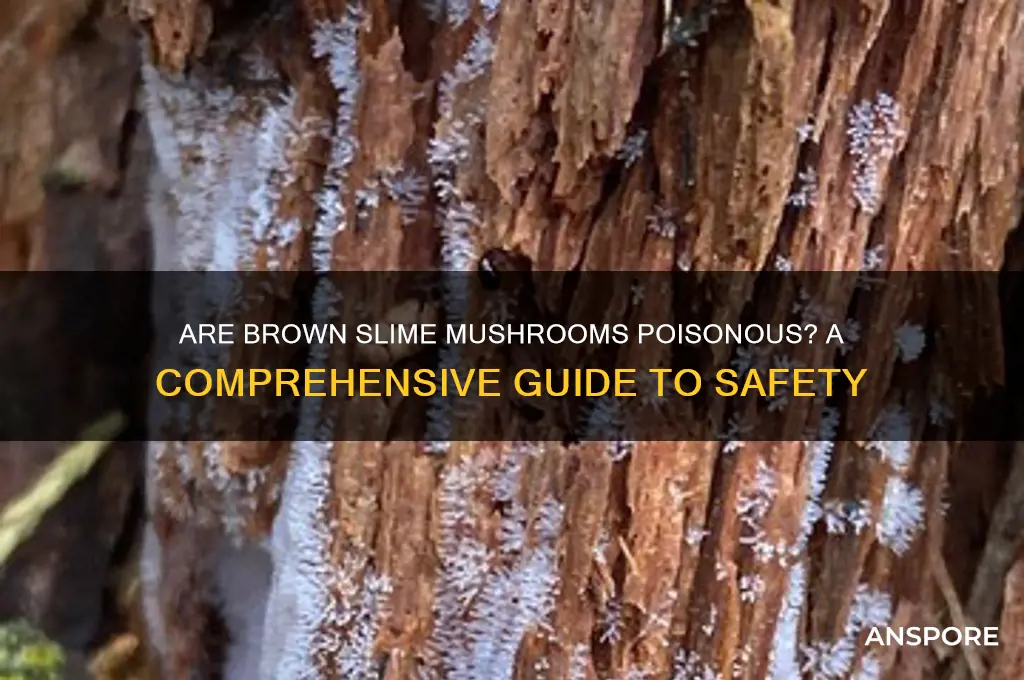 are brown slime mushrooms poisonous