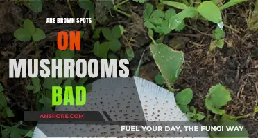Are Brown Spots on Mushrooms Bad? Understanding Mushroom Discoloration