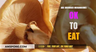 Are Browned Mushrooms Safe? A Guide to Eating Cooked Fungi