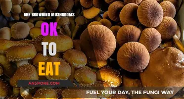 Are Browning Mushrooms Safe? A Guide to Eating Aged Fungi