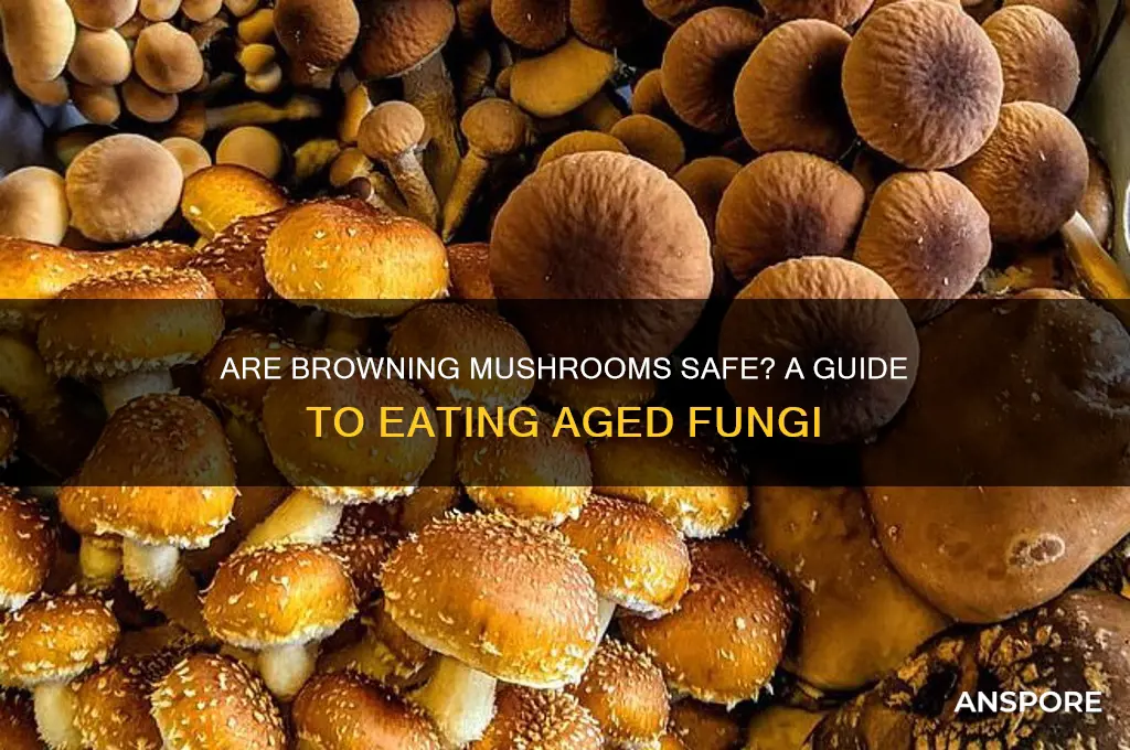 are browning mushrooms ok to eat